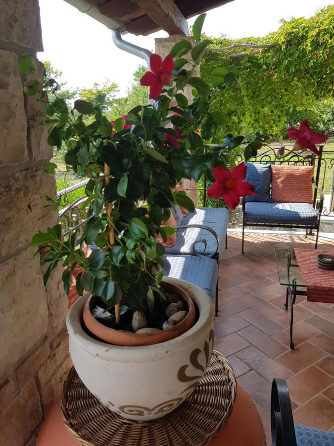Villa Slivari Žminj